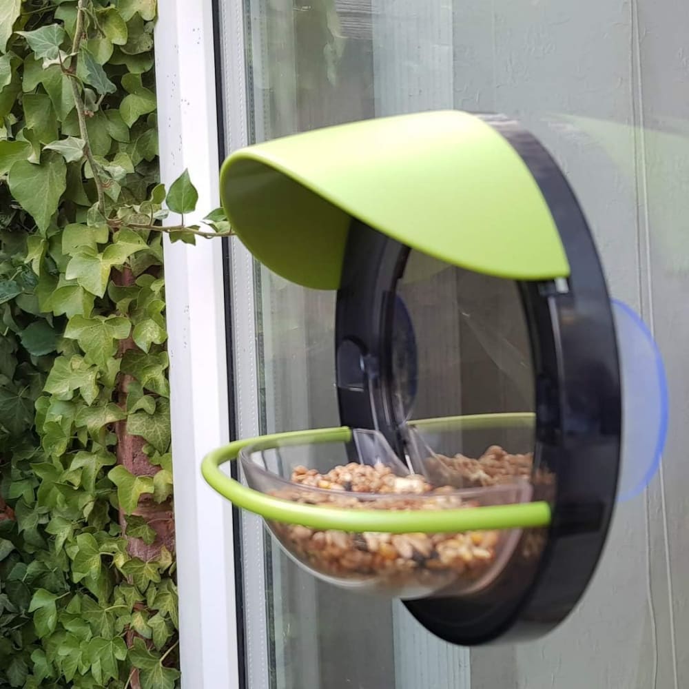 Window Bird Feeder - Interplay 5026175001050