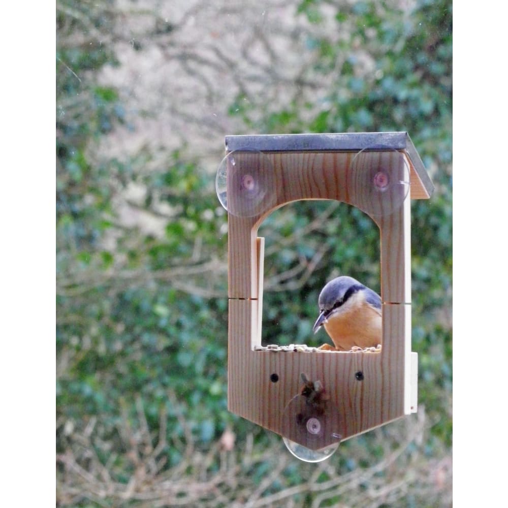 Build your own Bird Feeder Gift in a Tin - Apples to Pears 5050588006111